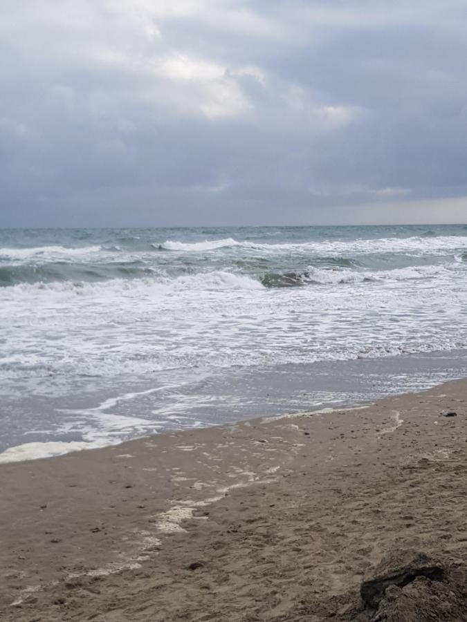 La Rose Des Sables, T2 A La Mer, Terrasse Et Garage Frontignan Dış mekan fotoğraf