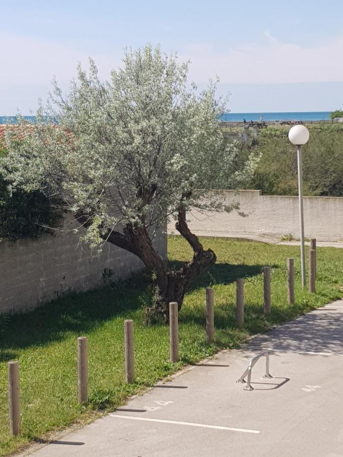 La Rose Des Sables, T2 A La Mer, Terrasse Et Garage Frontignan Dış mekan fotoğraf