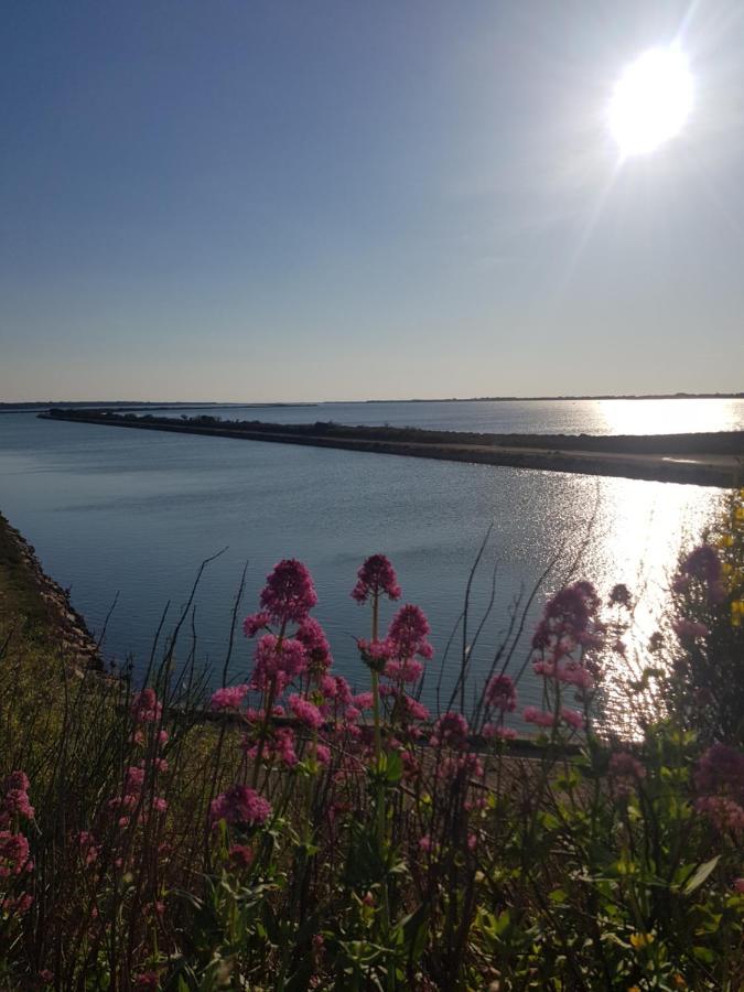 La Rose Des Sables, T2 A La Mer, Terrasse Et Garage Frontignan Dış mekan fotoğraf