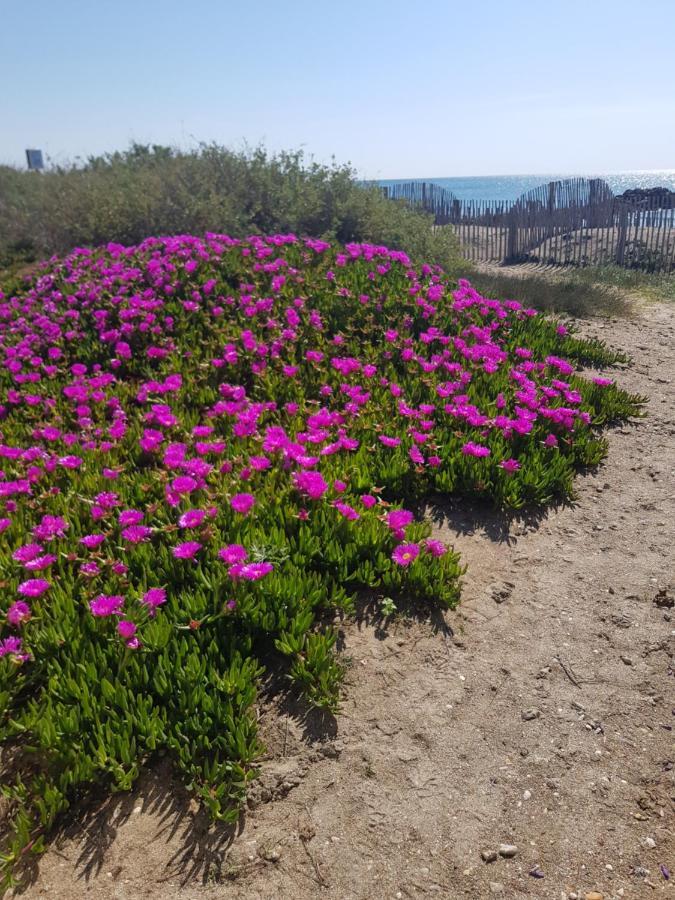 La Rose Des Sables, T2 A La Mer, Terrasse Et Garage Frontignan Dış mekan fotoğraf