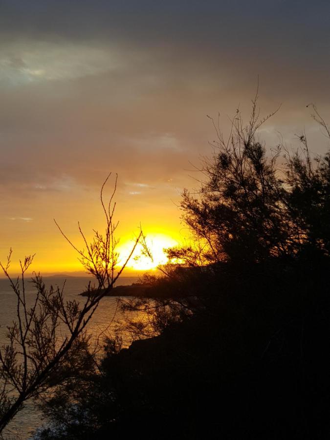 La Rose Des Sables, T2 A La Mer, Terrasse Et Garage Frontignan Dış mekan fotoğraf