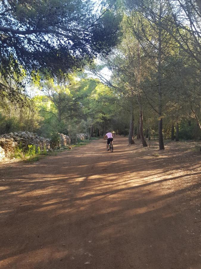 La Rose Des Sables, T2 A La Mer, Terrasse Et Garage Frontignan Dış mekan fotoğraf