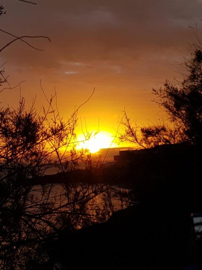 La Rose Des Sables, T2 A La Mer, Terrasse Et Garage Frontignan Dış mekan fotoğraf